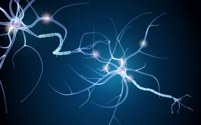 Zoom-Meeting vom 02.Februar 2021, Fragen zum Thema Polyneuropathie