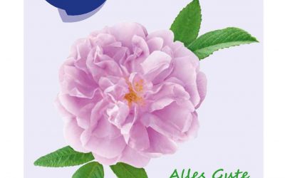 GBS CIDP Journal 4-25